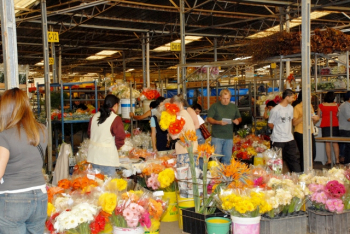 Dia das Mães movimenta o Mercado de Flores e Plantas Ornamentais da Ceasa