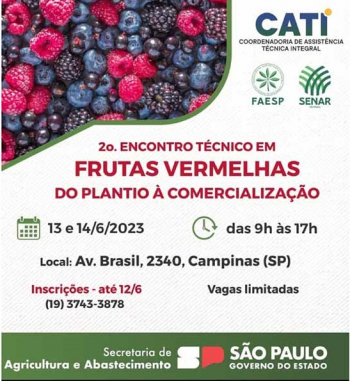 Ceasa integra 2º Encontro Técnico em Frutas Vermelhas, na Cati